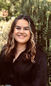 Attachment Medium Size Medium Wp Post Image